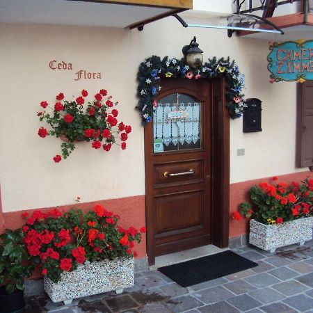 La Casa Di Beppe Appartamento E Camere Danta Екстериор снимка