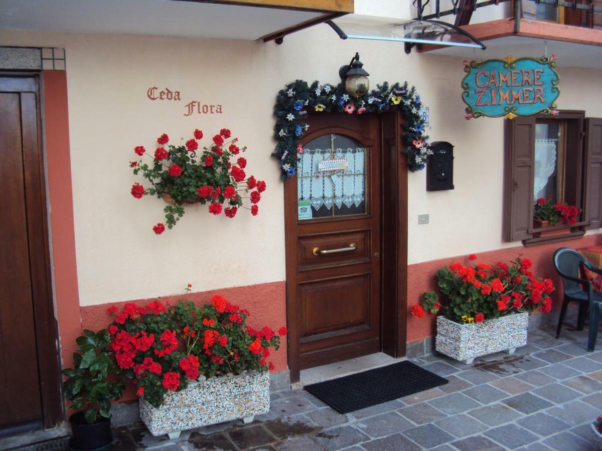 La Casa Di Beppe Appartamento E Camere Danta Екстериор снимка
